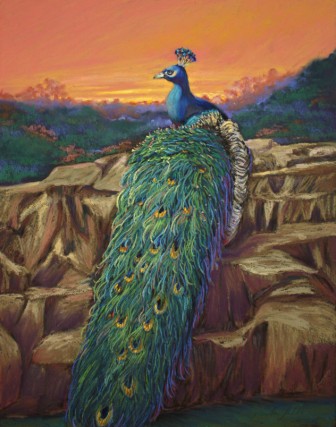 Peacock_for_Site.jpg