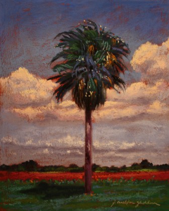 palm2_for_site.jpg